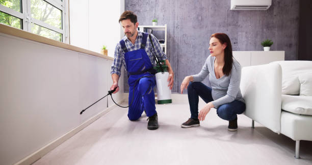 Best Residential Pest Control  in Flanders, NJ